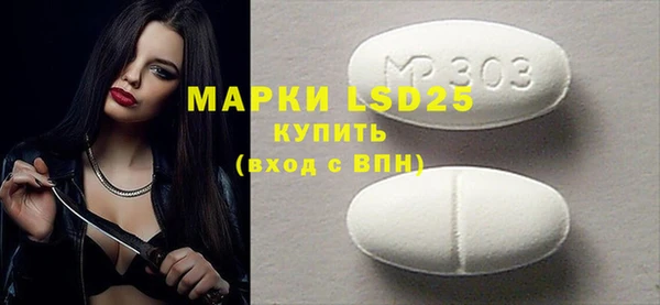 spice Аркадак