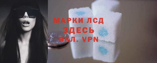 spice Аркадак