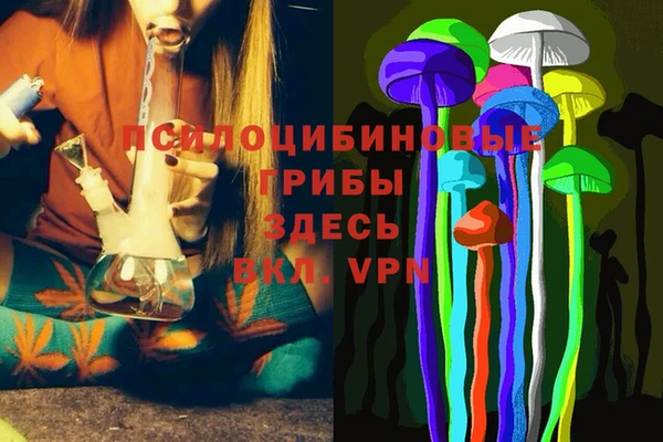 spice Аркадак