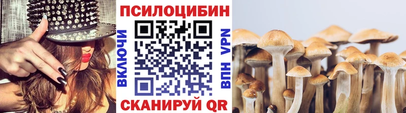 Псилоцибиновые грибы прущие грибы  Нюрба 